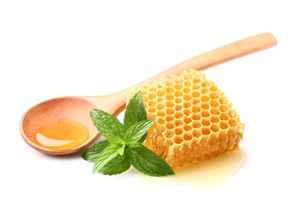 Peine de abeja con menta — Foto de Stock