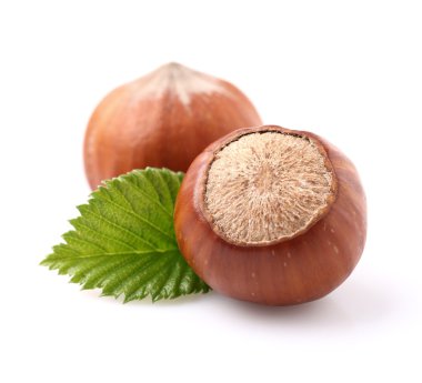 fındık closeup içinde