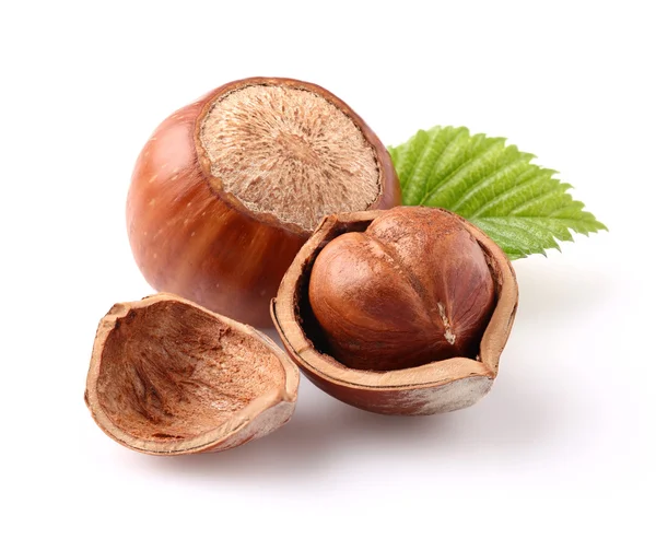 Hazelnuts with leaf — Stock Photo, Image