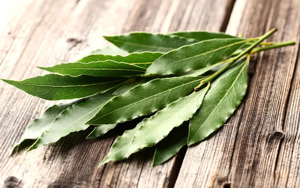 Laurel hojas sobre un fondo de madera — Foto de Stock