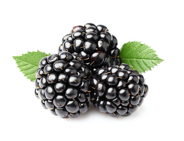 Blackberry с листьями
