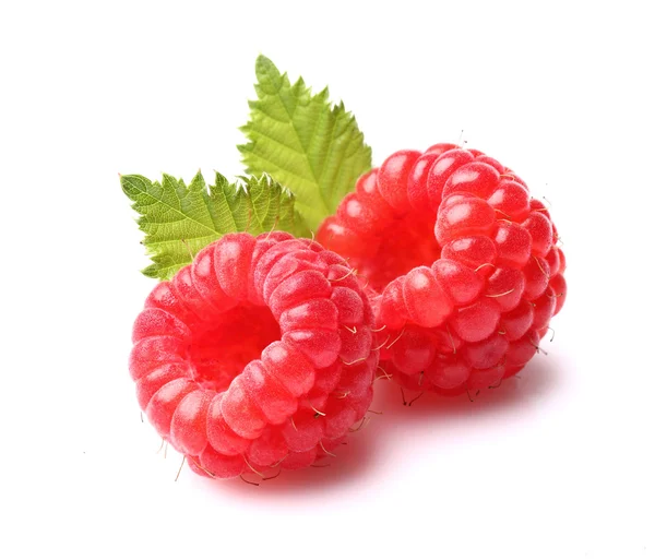 Raspberry with leaves — Stock Photo, Image