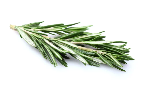 Rosemary em close-up — Fotografia de Stock