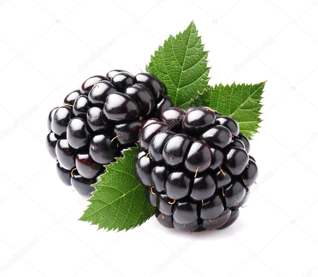 ベリー写真素材 ロイヤリティフリーベリー画像 Depositphotos