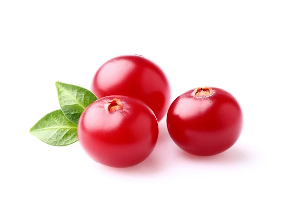 Cranberry in closeup — Stock Photo, Image