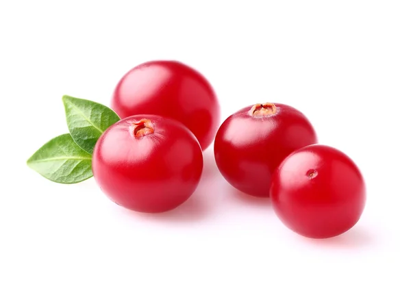 Juicy cranberry with leaf — Stock Photo, Image