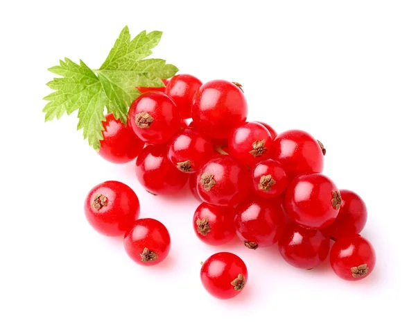 Juicy currant with leaf — Stock Photo, Image