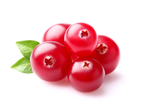 Cranberry in closeup — Stock Photo, Image