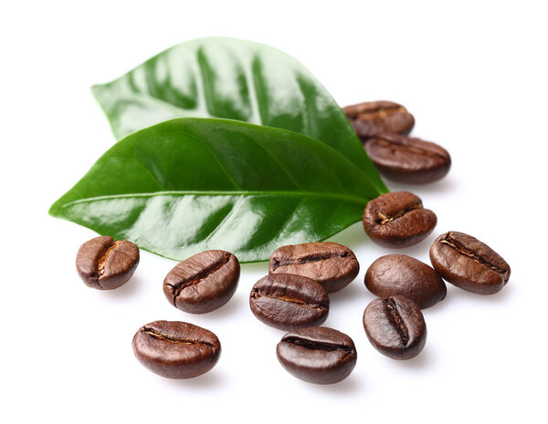 Кофейные зёрна с листьями