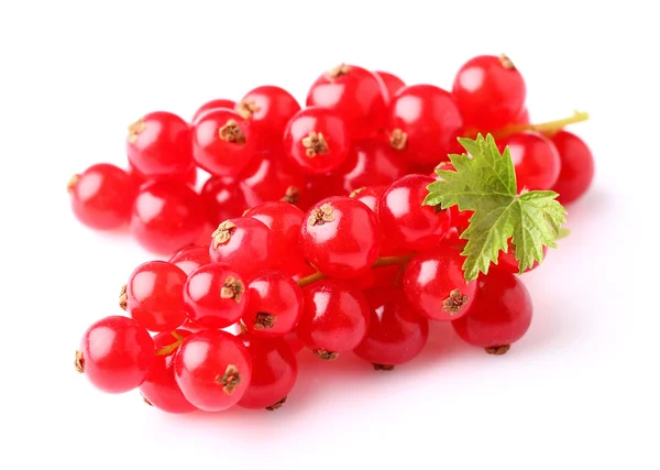 Ribes rosso in primo piano — Foto Stock