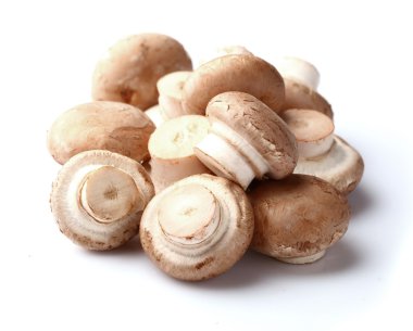 paddestoelen in close-up