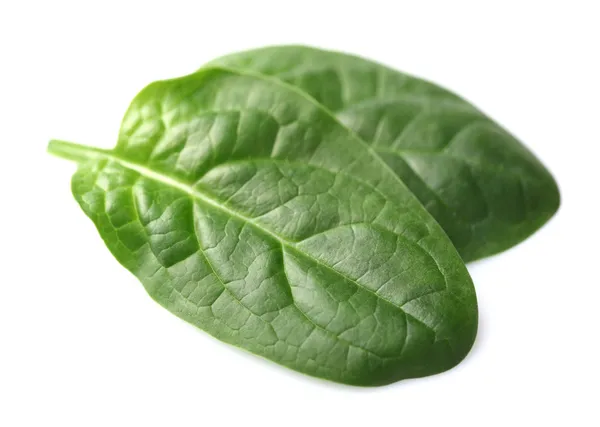 Spinach in closeup — Stock Photo, Image