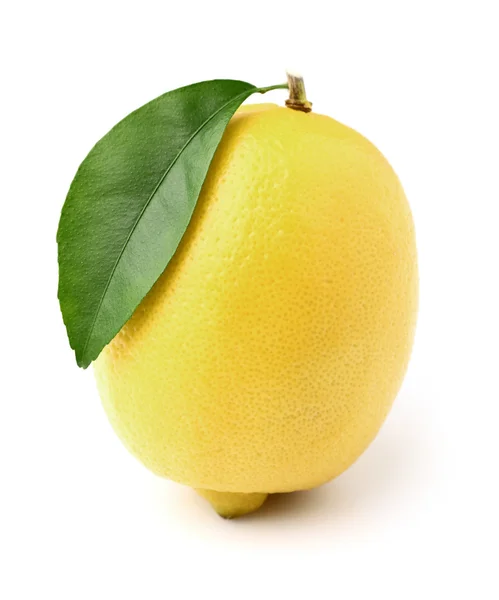 Один спелый лимон — стоковое фото