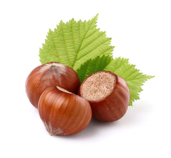 Hazelnuts with leaves — Stock Photo, Image