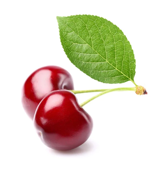 Cereza jugosa con hoja — Foto de Stock