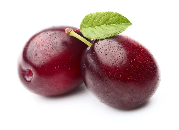 Two fresh plums — Stock Photo, Image