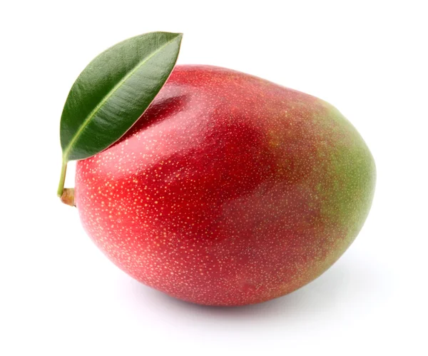 Mango mit Blatt — Stockfoto
