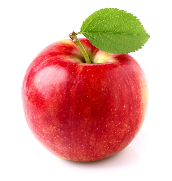 Manzana fresca — Foto de Stock