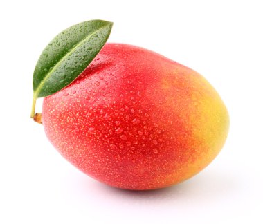 damla su ile olgun mango