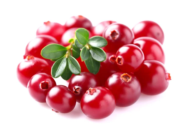 Cranberry com folhas — Fotografia de Stock