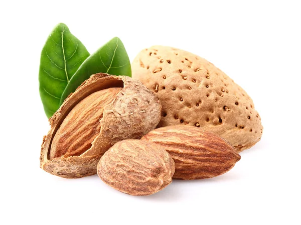 Almonds with leaf — Stock Photo, Image
