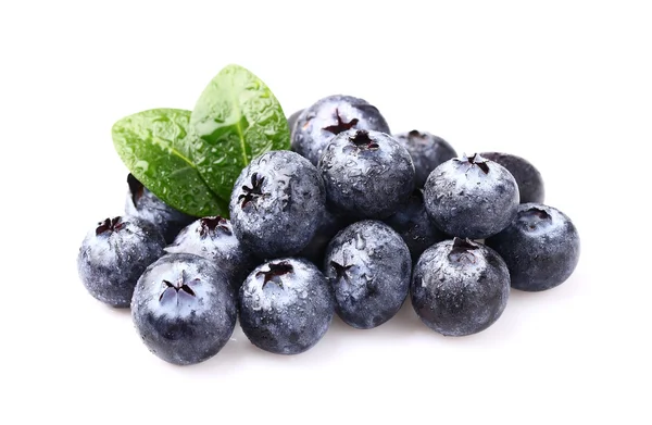 Fresh blueberry with leaves — Stockfoto