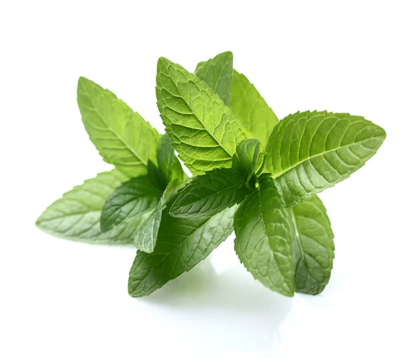 Mint in close-up — Stockfoto