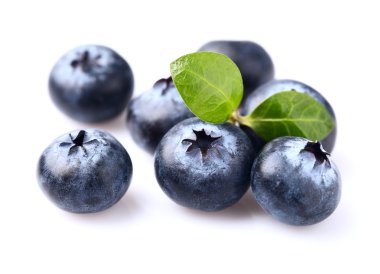 yaban mersini yaprağı ile