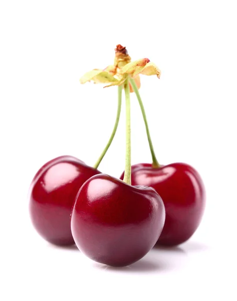 Sweet cherry — Stockfoto