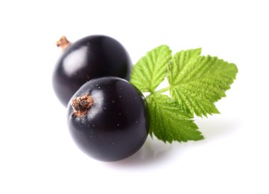 Blackcurrant yaprakları ile