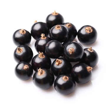 Blackcurrant closeup içinde