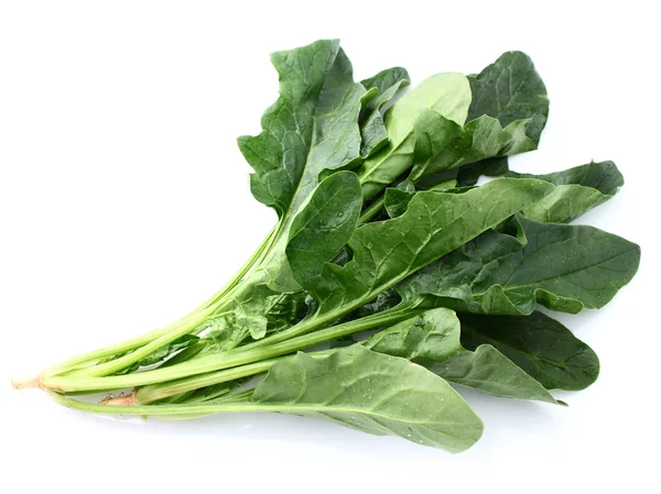 Spinach leaves — Stock Photo, Image