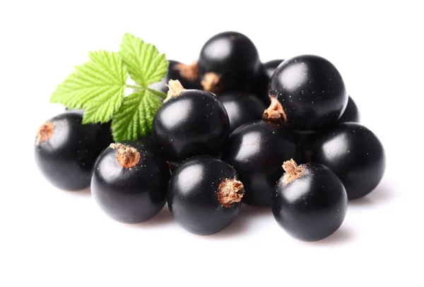 Ribes nero con foglie — Foto Stock