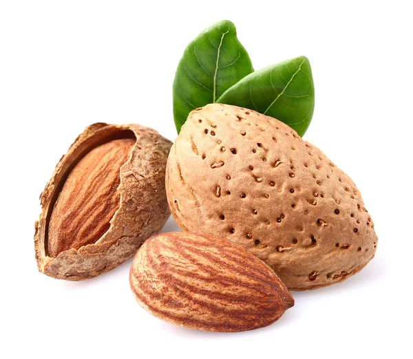 Amandes séchées — Photo