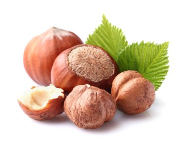 fındık yaprağı
