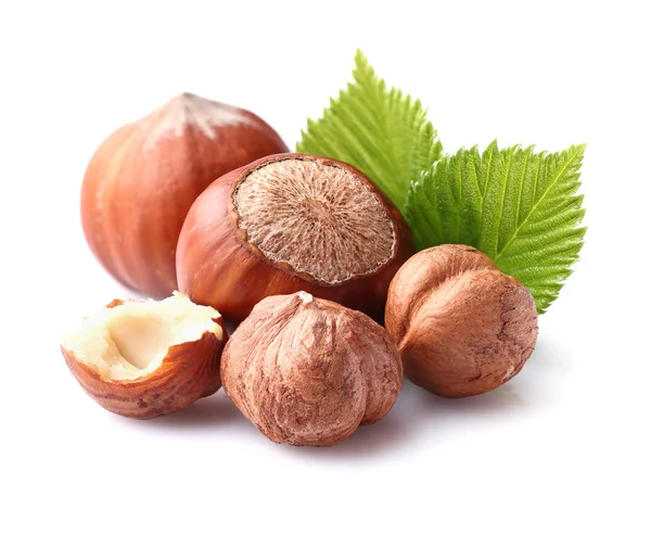 Hazelnuts with leaf — Stock Photo, Image