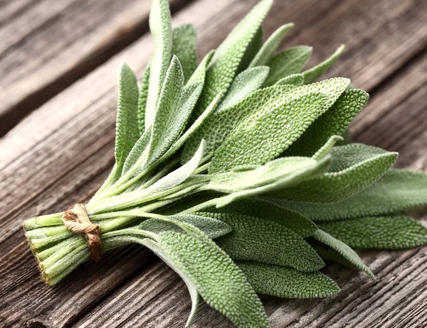 Sage on a wooden background — Stock Photo, Image