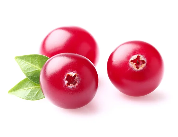 Cranberry with leaf in closeup — Stock Photo, Image