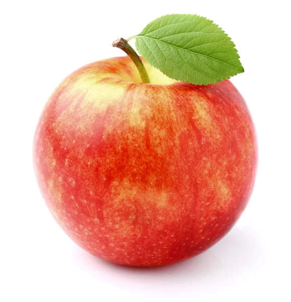 Reifer Apfel — Stockfoto