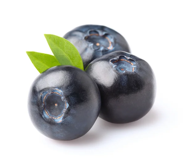 Blueberry in closeup — Stock Photo, Image