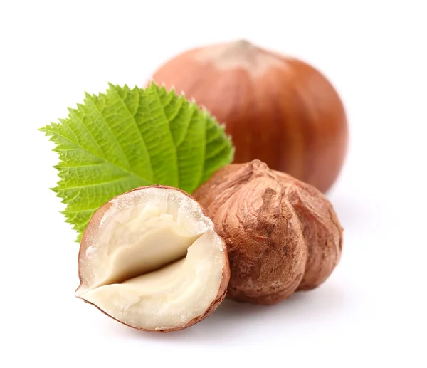 Hazelnuts with leaf  in closeup — Stock Photo, Image