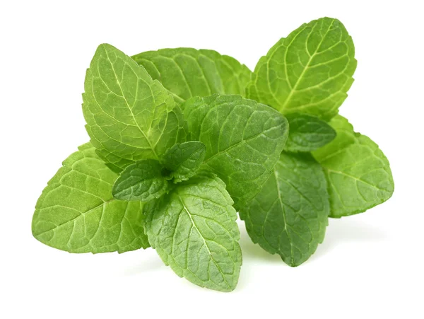 Mint leaves — Stock Photo, Image