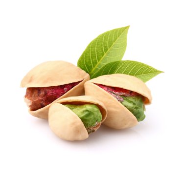 yaprakları ile Antep fıstığı