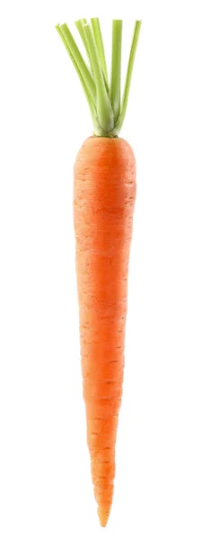 One carrot in closeup — Stock Photo, Image