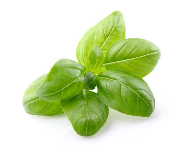 Beyaz arkaplanda fesleğen yaprakları