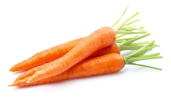 Young carrots in closeup — Stock Photo, Image