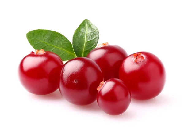 Juicy cranberry — Stock Photo, Image