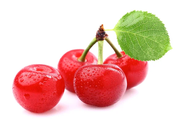 Cereza fresca — Foto de Stock