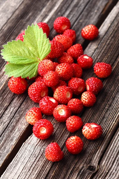 Wild strawberry — Stock Photo, Image