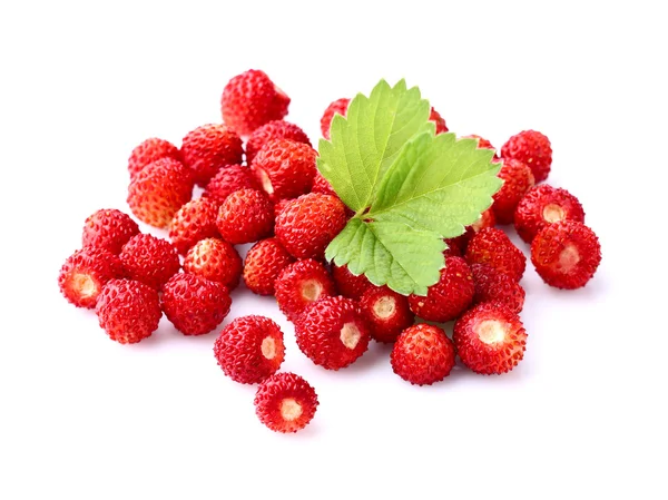 Wild strawberry on a white background — Stok fotoğraf